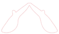 marq-hand